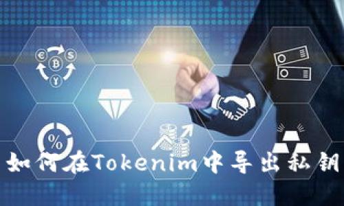 如何在Tokenim中导出私钥