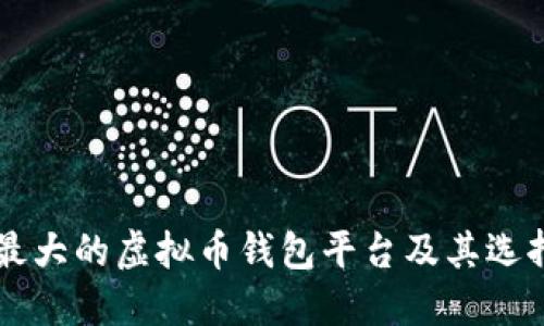 国外最大的虚拟币钱包平台及其选择指南