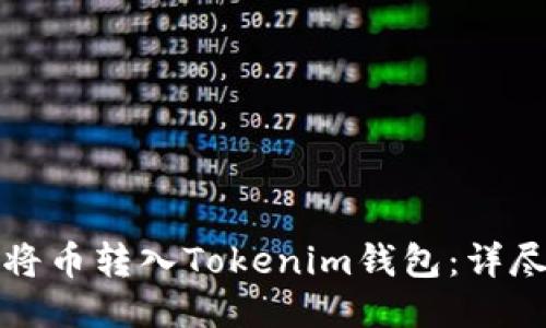 如何将币转入Tokenim钱包：详尽指南