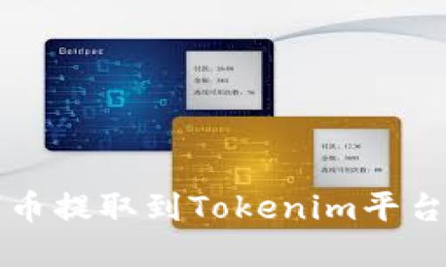 如何将数字币提取到Tokenim平台的详细指南