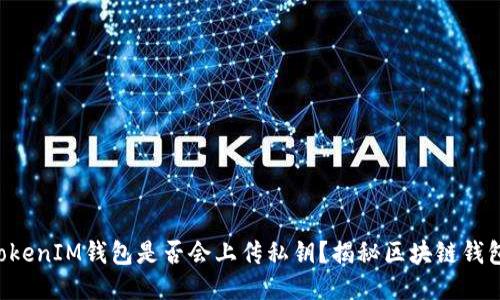 TokenTokenIM钱包是否会上传私钥？揭秘区块链钱包安全性