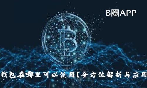 数字钱包在哪里可以使用？全方位解析与应用场景