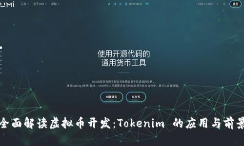 全面解读虚拟币开发：Tokenim 的应用与前景