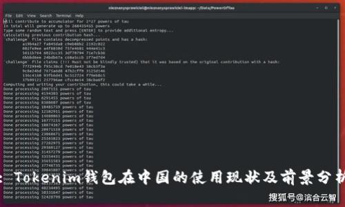 : Tokenim钱包在中国的使用现状及前景分析