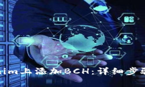 如何在Tokenim上添加BCH：详细步骤与注意事项