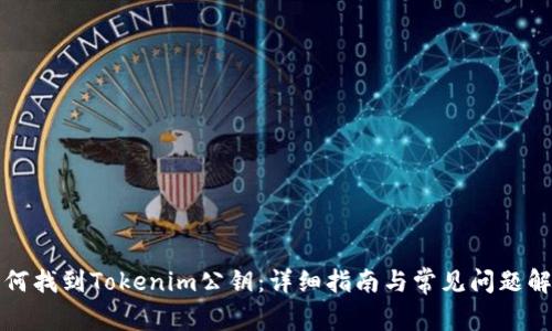 如何找到Tokenim公钥：详细指南与常见问题解答