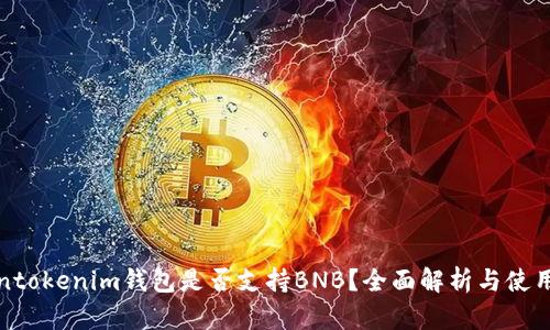 Tokentokenim钱包是否支持BNB？全面解析与使用指南
