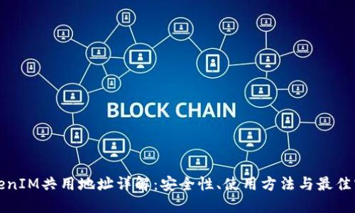 TokenIM共用地址详解：安全性、使用方法与最佳实践