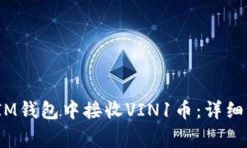 如何在TokenTokenIM钱包中接收VIN1币：详细步骤与常见问题解析