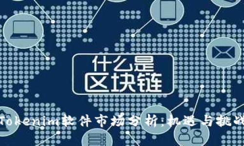 Tokenim软件市场分析：机遇与挑战