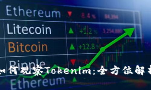 如何观察Tokenim：全方位解析