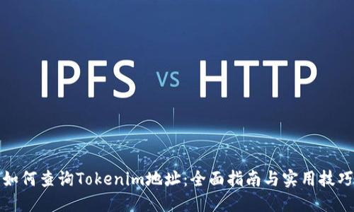 如何查询Tokenim地址：全面指南与实用技巧