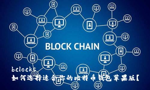 bclocks
如何选择适合你的比特币钱包苹果版？