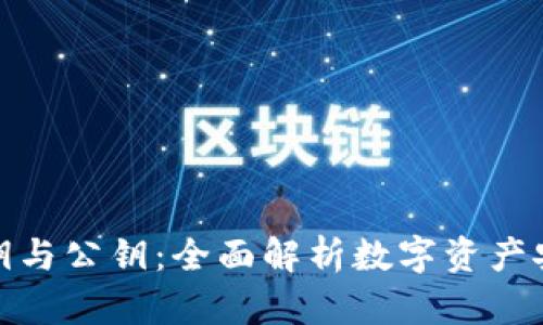 区块链私钥与公钥：全面解析数字资产安全的关键