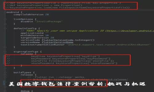 美国数字钱包法律案例分析：挑战与机遇
