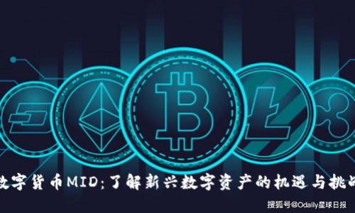 数字货币MID：了解新兴数字资产的机遇与挑战