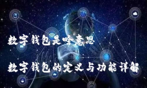数字钱包是啥意思

数字钱包的定义与功能详解