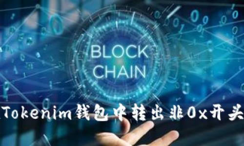 如何在Tokenim钱包中转出非0x开头的币种