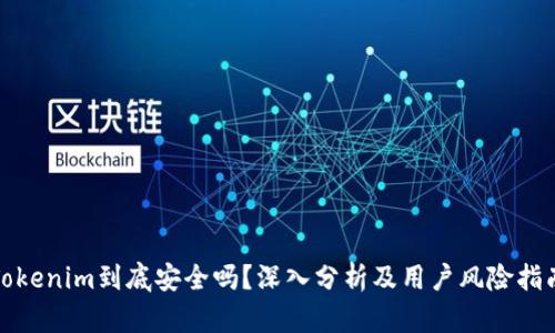 Tokenim到底安全吗？深入分析及用户风险指南