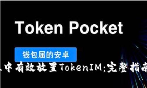 如何在AMPL中有效放置TokenIM：完整指南与最佳实践