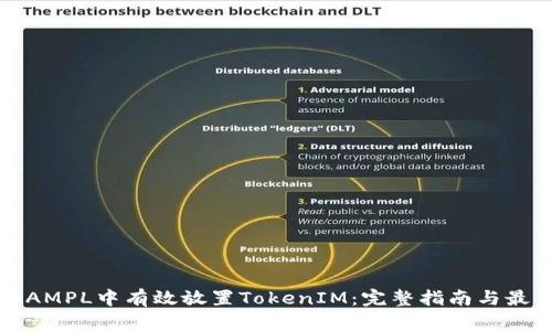 如何在AMPL中有效放置TokenIM：完整指南与最佳实践