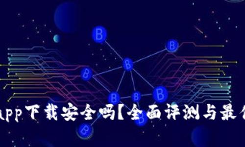 电子钱包app下载安全吗？全面评测与最佳选择推荐