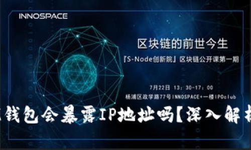 TokenTokenIM钱包会暴露IP地址吗？深入解析隐私保护机制