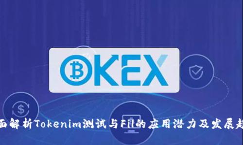 全面解析Tokenim测试与Fil的应用潜力及发展趋势