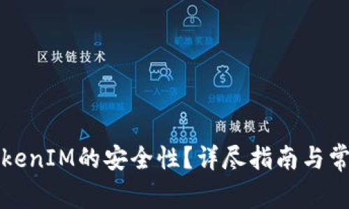 如何查看TokenIM的安全性？详尽指南与常见问题解答