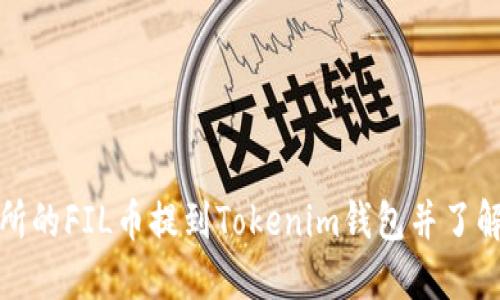 如何将交易所的FIL币提到Tokenim钱包并了解其价格波动