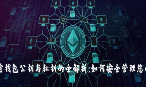 区块链加密钱包公钥与私钥的全解析：如何安全管理您的数字资产