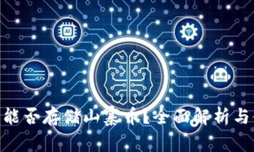 Tokenim能否存储山寨币？全面解析与使用指南