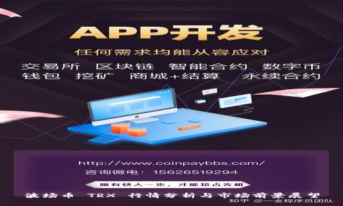 波场币 TRX 行情分析与市场前景展望