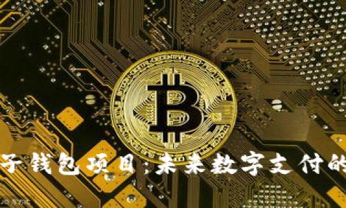 区块链电子钱包项目：未来数字支付的变革之路