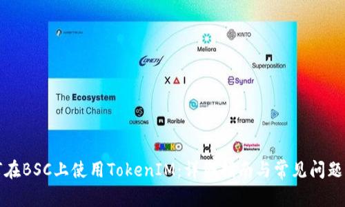 如何在BSC上使用TokenIM：详细指南与常见问题解答
