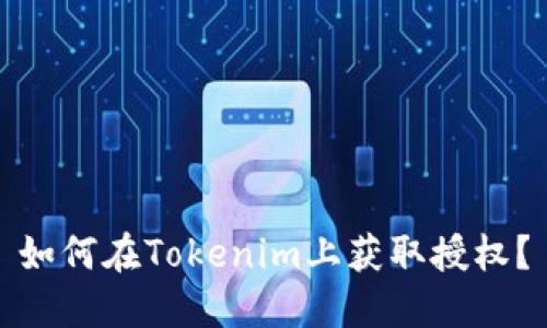 如何在Tokenim上获取授权？