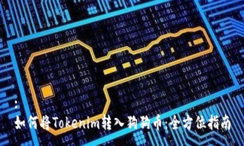 :
如何将Tokenim转入狗狗币：全方位指南