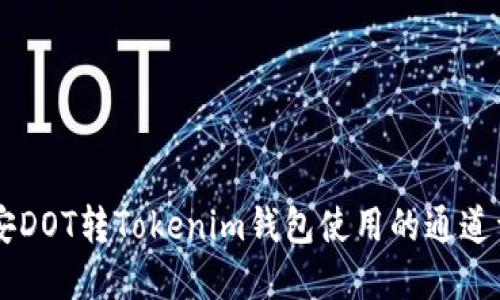 币安DOT转Tokenim钱包使用的通道详解
