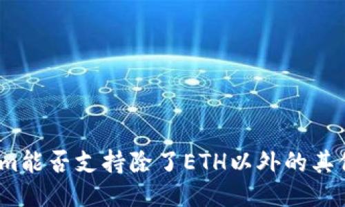 Tokenim能否支持除了ETH以外的其他转账?