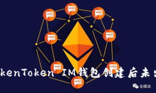 如何解决TokenToken IM钱包创建后未出现的问题？