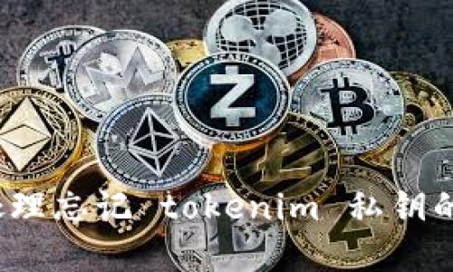 如何处理忘记 tokenim 私钥的情况？