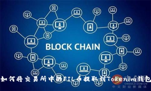 如何将交易所中的FIL币提取到Tokenim钱包