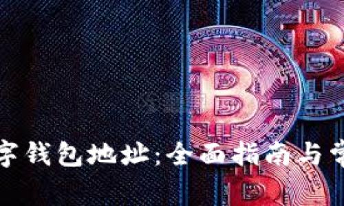 如何查看数字钱包地址：全面指南与常见问题解答