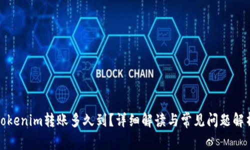 Tokenim转账多久到？详细解读与常见问题解析