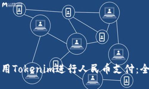 如何使用Tokenim进行人民币支付：全面指南