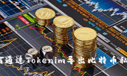 如何通过Tokenim导出比特币私钥？