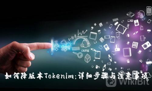 如何降版本Tokenim：详细步骤与注意事项