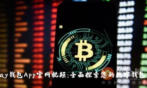 KDPay钱包App官网视频：全面探索您的数字钱包体验