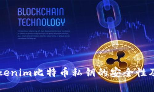 深入了解Tokenim比特币私钥的安全性及其使用方法
