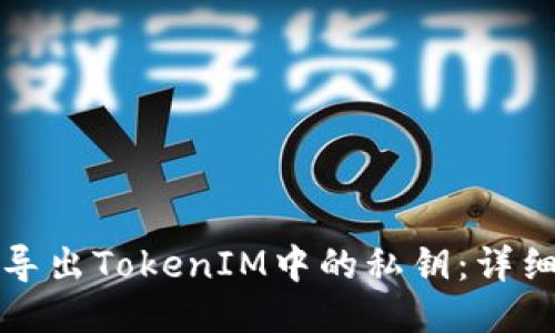 如何安全导出TokenIM中的私钥：详细操作指南